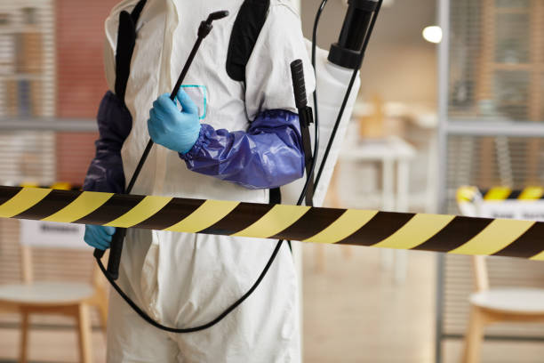 Professional Hoarding Cleanup technician working in Wallington, NJ